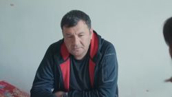 Мультфильмы