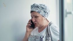 Мультфильмы