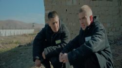 Мультфильмы