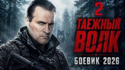 Мультфильмы