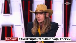 Мультфильмы