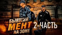 Мультфильмы