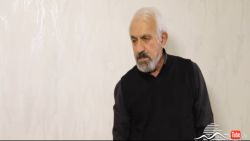 Мультфильмы