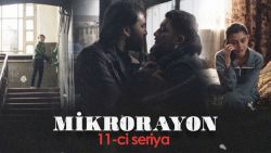 Мультфильмы