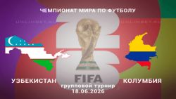 Мультфильмы