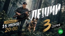 Мультфильмы