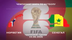 Мультфильмы