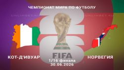 Мультфильмы