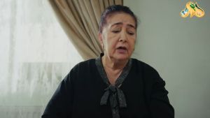 Dushman kelin  84 серия Дата выхода 