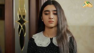 Dushman kelin  94 серия Дата выхода 