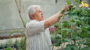 Qaynonaning qargishi... Besh kunlik dunyo  3 серия Дата выхода 